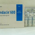 CLINDAMYCIN 600MG/4ML INJECTION